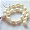 南海洋壳珠，规格：12mm和16mm，长度：16寸，不定形珠